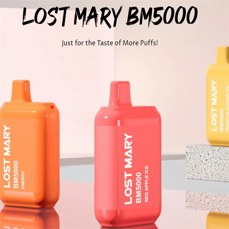 Dingo Mary BM5000