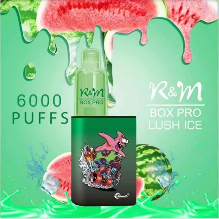 R&M BOX PRO 6000 puff