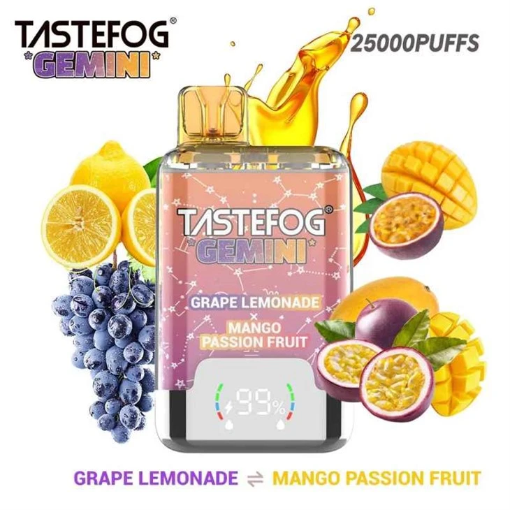 „Tastefog Gemini 25000“ puffai